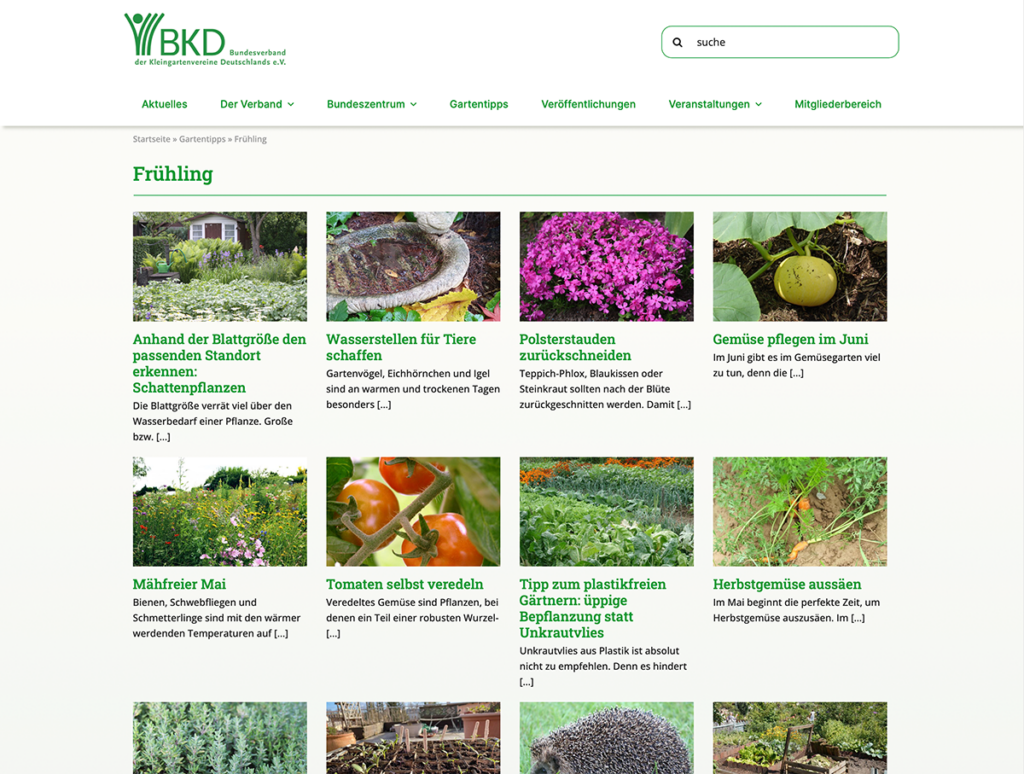 Screenshot der Website „Gartentipps – Frühling“ des Bundesverbandes der Kleingartenvereine Deutschlands e. V.