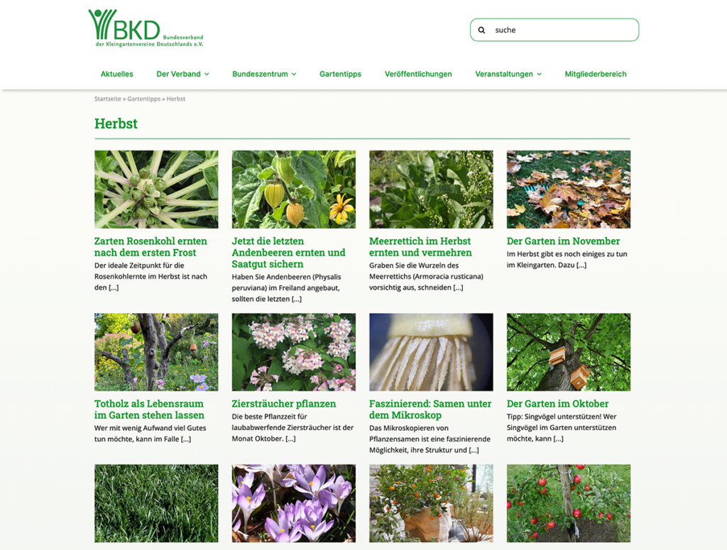 Screenshot der Website „Gartentipps – Herbst“ des Bundesverbandes der Kleingartenvereine Deutschlands e. V.