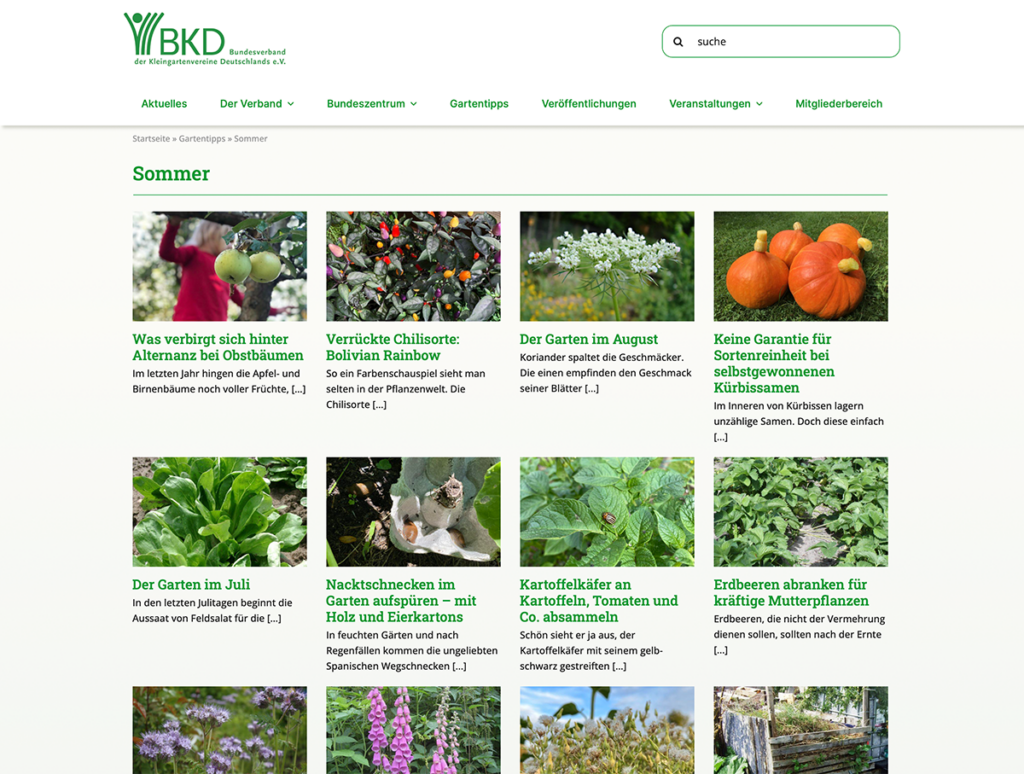 Screenshot der Website „Gartentipps – Sommer“ des Bundesverbandes der Kleingartenvereine Deutschlands e. V.